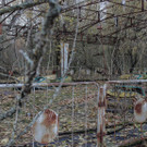 Kiev_Tschernobyl-8739.jpg