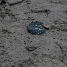 Kiev_Tschernobyl-8822.jpg