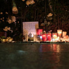 AFP_I245Q.jpg