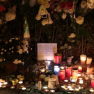 AFP_I245R.jpg