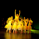 DSC_5236.jpg