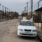AFP_I574G.jpg