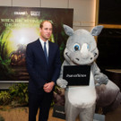 Prinz William besucht den Vietnam