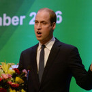 AFP_I606J.jpg