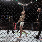 UFC_205_Mixed_Martial_Arts_1.jpg