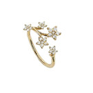 Shooting-stars-ring.jpg