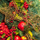 30_ Altwiener Christkindlmarkt - Freyung - 18_11_2016 _42 von 35_.jpg