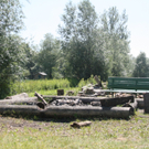 Die schönsten Lagerfeuerstellen am See