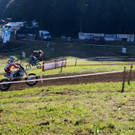 DSC00528.jpg