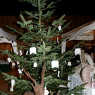 DSC00015.JPG