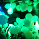 DSC09809.JPG