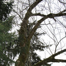 IMG_7035.JPG