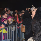 Krampusshow Braz 2016 _46_.jpg