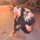 Krampusshow Braz 2016 _98_.jpg