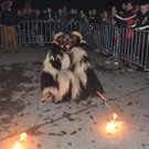 Krampusshow Braz 2016 _107_.jpg