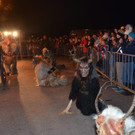 Krampusshow Braz 2016 _138_.jpg