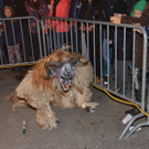 Krampusshow Braz 2016 _149_.jpg