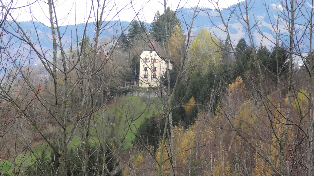 DSC09680.JPG