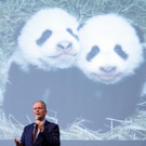 Tiergarten Schönbrunn: Namensgebungszeremonie für die Pandazwillinge