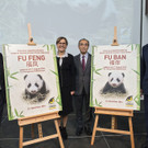 Schönbrunner Panda-Zwillinge wurden feierlich getauft