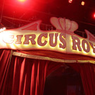 Zirkus Royal wird zum Schoren Circus