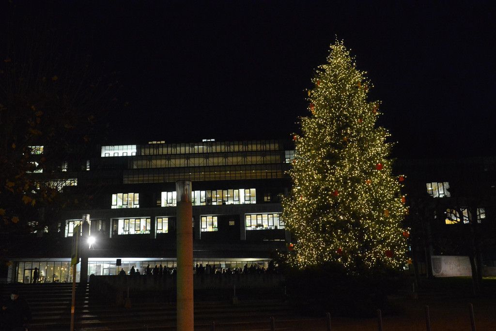 DSC_6768.JPG