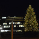 Weihnachtsbaum vor dem Landhaus illuminiert