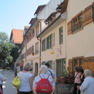 IMG_3098_JPG-1277820574