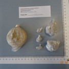 E1-81400-16.jpg