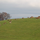 20161125_grossbrand_seekirchen_mw-24.jpg