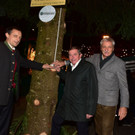 brachten_christbaum_gemeinsam_zum_erstra_004492721.jpg