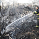 AFP_IF4Z6.jpg