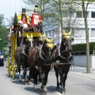 Kutsche VII.JPG