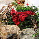 KOE_Adventmarkt Haus Schillerstrasse 13.jpg