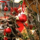 KOE_Adventmarkt Haus Schillerstrasse 26.jpg