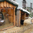 KOE_Krippenausstellung Feldkirch 2.jpg
