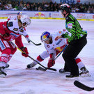 20161125_FMT_EC_RED_BULL_vs_KAC_4-3_KJ__15_.JPG