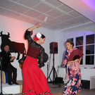 DSC_0079_JPG-1480166350.jpg