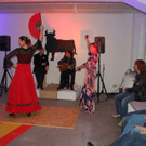 DSC_0093_JPG-1480166409.jpg
