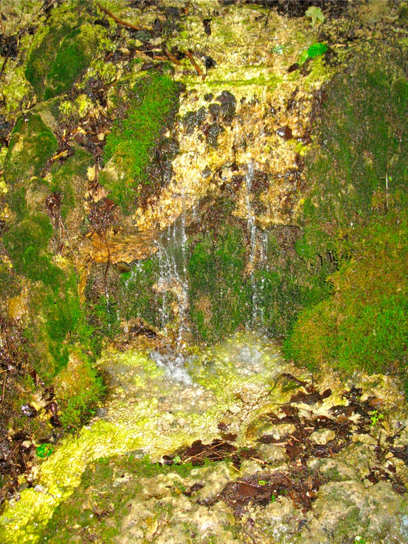 BK_b__rserschlucht 19_jpg-1277829265