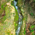 BK_b__rserschlucht 21_jpg-1277829275