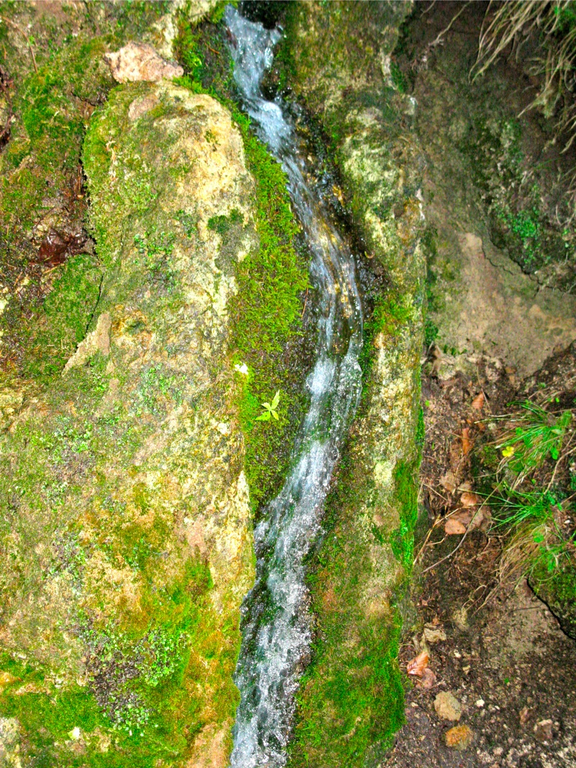 BK_b__rserschlucht 21_jpg-1277829275