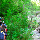 BK_b__rserschlucht 23_jpg-1277829284