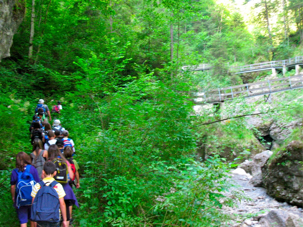 BK_b__rserschlucht 23_jpg-1277829284