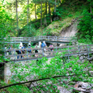 BK_b__rserschlucht 24_jpg-1277829289