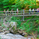 BK_b__rserschlucht 31_jpg-1277829318