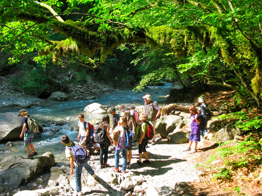 BK_b__rserschlucht 32_jpg-1277829323