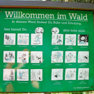 BK_b__rserschlucht 37_jpg-1277829343