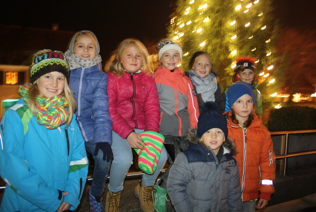 Adventzauber ILLUMINIERUNG W-Beleuchtung 2016 _1_.JPG