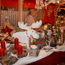 DSC_0006.JPG